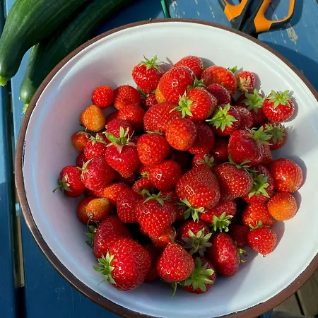 Romantic Country With Fjord Views On Amoy Prázdninový dům Stavanger
